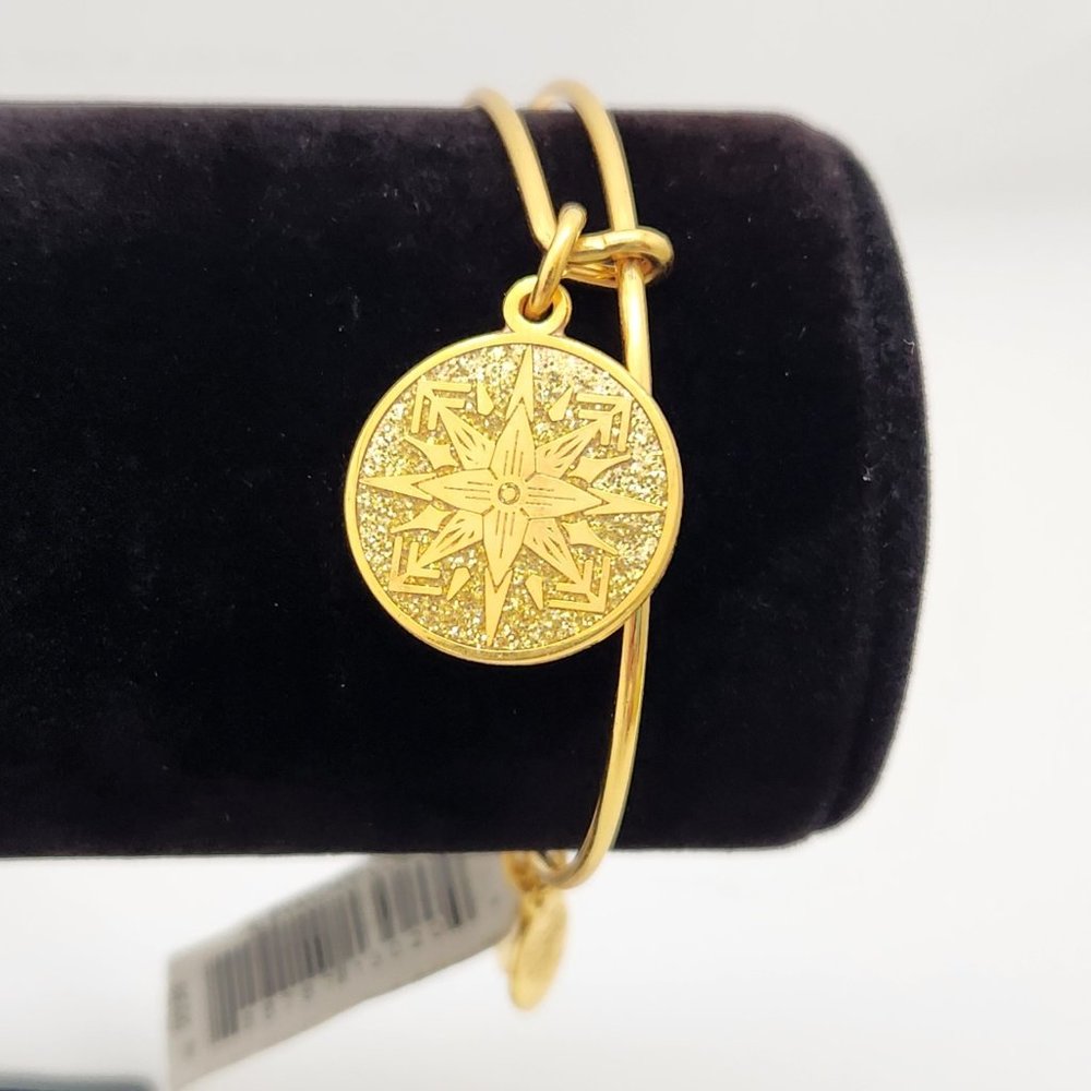 Alex And Ani Color Infusion, Healing Love EWB, SG Bracelet #634